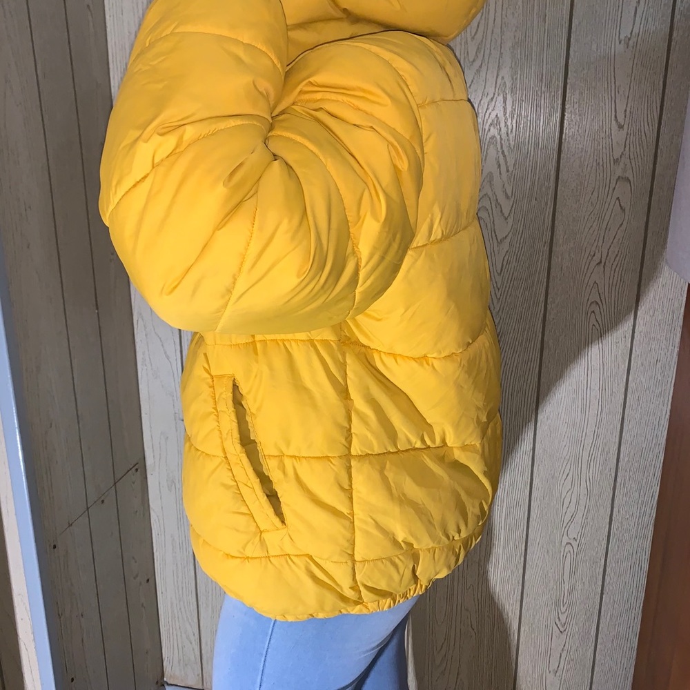 Jacket - Picture 3 of 3